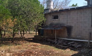 VENTA DE RANCHO PARA GANADERIA O FRACCIONAR EN CARRETERA A TIXKOKOB, YUCATÁN