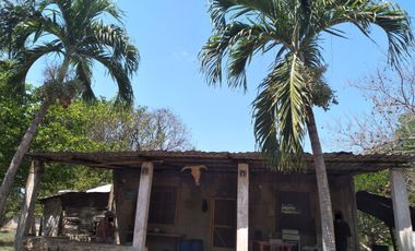 VENTA DE RANCHO PARA GANADERIA O FRACCIONAR EN CARRETERA A TIXKOKOB, YUCATÁN