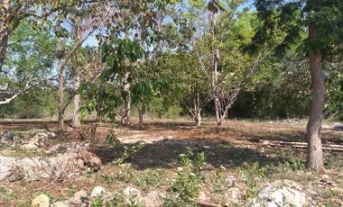 VENTA DE RANCHO PARA GANADERIA O FRACCIONAR EN CARRETERA A TIXKOKOB, YUCATÁN