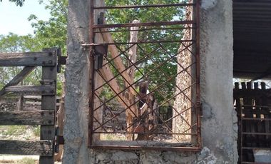 VENTA DE RANCHO PARA GANADERIA O FRACCIONAR EN CARRETERA A TIXKOKOB, YUCATÁN