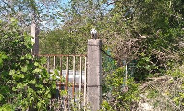 VENTA DE RANCHO PARA GANADERIA O FRACCIONAR EN CARRETERA A TIXKOKOB, YUCATÁN