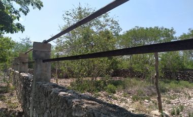 VENTA DE RANCHO PARA GANADERIA O FRACCIONAR EN CARRETERA A TIXKOKOB, YUCATÁN