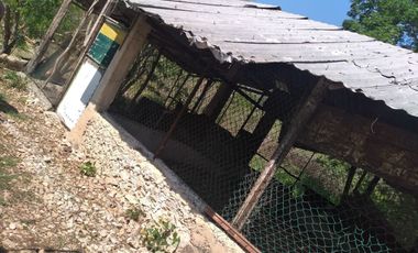 VENTA DE RANCHO PARA GANADERIA O FRACCIONAR EN CARRETERA A TIXKOKOB, YUCATÁN