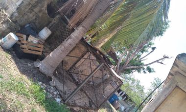 VENTA DE RANCHO PARA GANADERIA O FRACCIONAR EN CARRETERA A TIXKOKOB, YUCATÁN