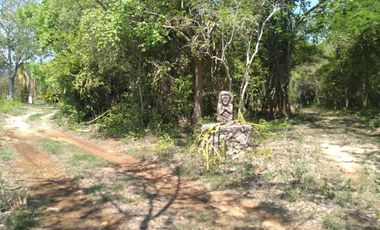 VENTA DE RANCHO PARA GANADERIA O FRACCIONAR EN CARRETERA A TIXKOKOB, YUCATÁN