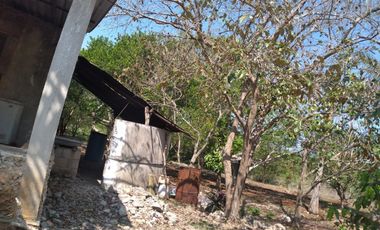 VENTA DE RANCHO PARA GANADERIA O FRACCIONAR EN CARRETERA A TIXKOKOB, YUCATÁN