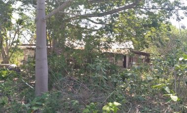 VENTA DE RANCHO PARA GANADERIA O FRACCIONAR EN CARRETERA A TIXKOKOB, YUCATÁN