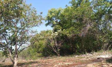 VENTA DE RANCHO PARA GANADERIA O FRACCIONAR EN CARRETERA A TIXKOKOB, YUCATÁN