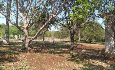 VENTA DE RANCHO PARA GANADERIA O FRACCIONAR EN CARRETERA A TIXKOKOB, YUCATÁN