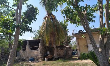 VENTA DE RANCHO PARA GANADERIA O FRACCIONAR EN CARRETERA A TIXKOKOB, YUCATÁN