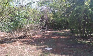 VENTA DE RANCHO PARA GANADERIA O FRACCIONAR EN CARRETERA A TIXKOKOB, YUCATÁN