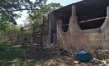 VENTA DE RANCHO PARA GANADERIA O FRACCIONAR EN CARRETERA A TIXKOKOB, YUCATÁN