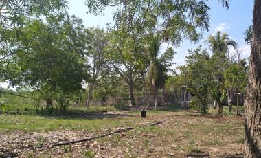 VENTA DE RANCHO PARA GANADERIA O FRACCIONAR EN CARRETERA A TIXKOKOB, YUCATÁN