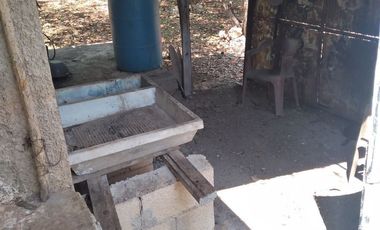 VENTA DE RANCHO PARA GANADERIA O FRACCIONAR EN CARRETERA A TIXKOKOB, YUCATÁN