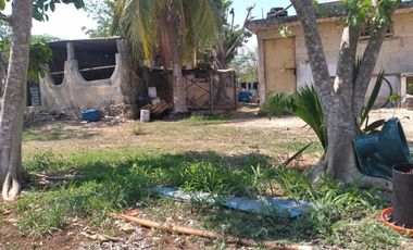 VENTA DE RANCHO PARA GANADERIA O FRACCIONAR EN CARRETERA A TIXKOKOB, YUCATÁN