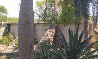 VENTA DE RANCHO PARA GANADERIA O FRACCIONAR EN CARRETERA A TIXKOKOB, YUCATÁN