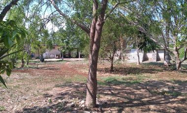 VENTA DE RANCHO PARA GANADERIA O FRACCIONAR EN CARRETERA A TIXKOKOB, YUCATÁN