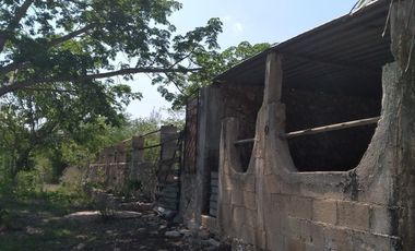 VENTA DE RANCHO PARA GANADERIA O FRACCIONAR EN CARRETERA A TIXKOKOB, YUCATÁN
