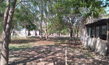 VENTA DE RANCHO PARA GANADERIA O FRACCIONAR EN CARRETERA A TIXKOKOB, YUCATÁN