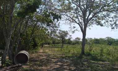 VENTA DE RANCHO PARA GANADERIA O FRACCIONAR EN CARRETERA A TIXKOKOB, YUCATÁN