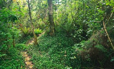 ARRIENDO de CASAS en BOGOTA