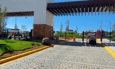 En Jardines de Allende