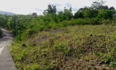 ELEVATED UPHILL 195 SQM OVERLOOKING. CONSOLACION CEBU LOT FOR SALE AT VISTA VERDE