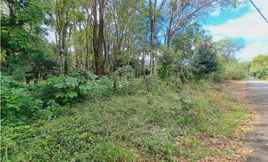 VENDO LOTE DE 5296M2 DOLEGA CON ARBOLES DE TECA Y LAUREL
