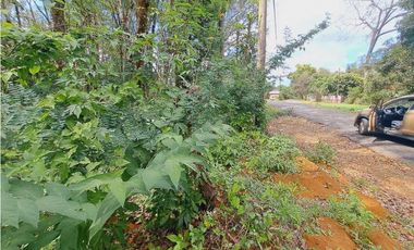 VENDO LOTE DE 5296M2 DOLEGA CON ARBOLES DE TECA Y LAUREL