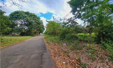 VENDO LOTE DE 5296M2 DOLEGA CON ARBOLES DE TECA Y LAUREL