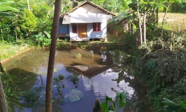 Jual Tanah kebun bonus Rumah Panggung,kolam ikan pemandangan bagus kaki gunung Burangrang Sakambang Wanayasa Purwakarta