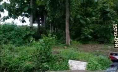 Dijual CEPAT Hutan Jati Di Desa Milir Nganjuk