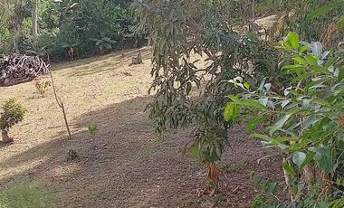 casa campestre en venta en vereda bochica fusagasuga. Cod V12350