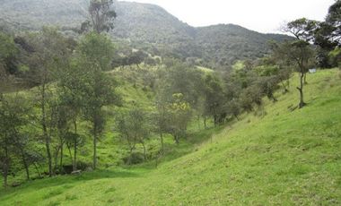 VENTA de LOTES en LA CALERA