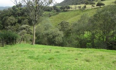 VENTA de LOTES en LA CALERA