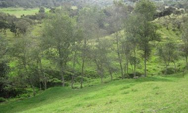 VENTA de LOTES en LA CALERA