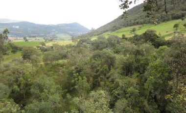 VENTA de LOTES en LA CALERA