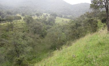 VENTA de LOTES en LA CALERA