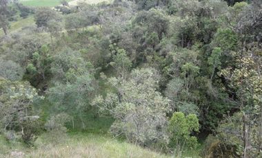 VENTA de LOTES en LA CALERA