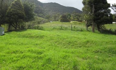 VENTA de LOTES en LA CALERA
