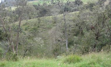 VENTA de LOTES en LA CALERA