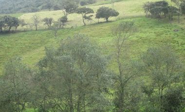 VENTA de LOTES en LA CALERA