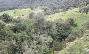 VENTA de LOTES en LA CALERA