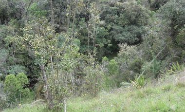 VENTA de LOTES en LA CALERA