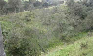 VENTA de LOTES en LA CALERA