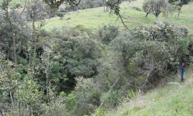 VENTA de LOTES en LA CALERA