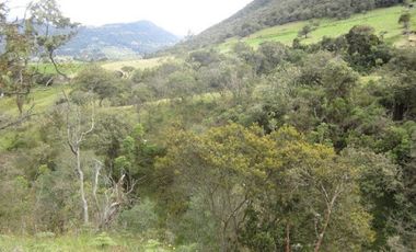 VENTA de LOTES en LA CALERA