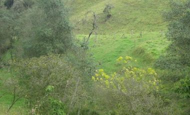 VENTA de LOTES en LA CALERA