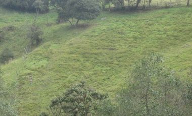VENTA de LOTES en LA CALERA