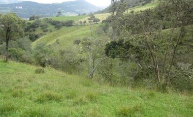 VENTA de LOTES en LA CALERA
